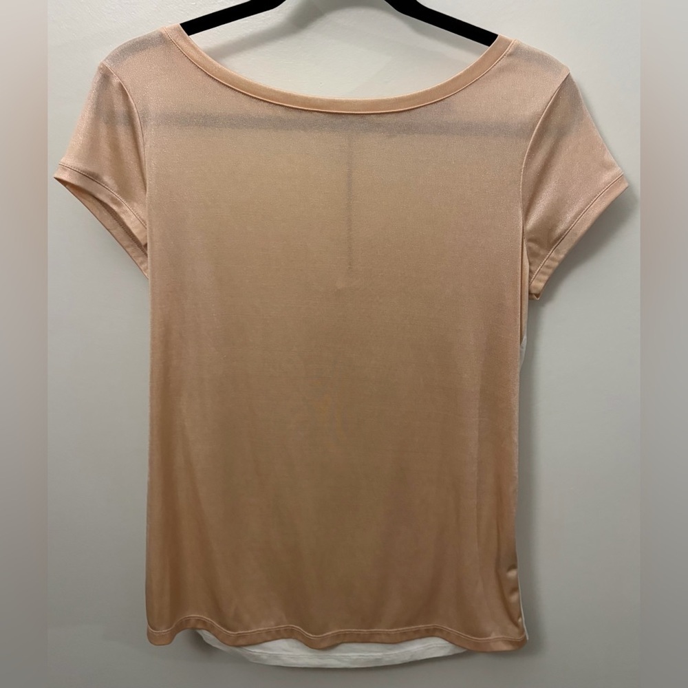 The Limited Blush Short-Sleeve Semi Sheer Velour Tee